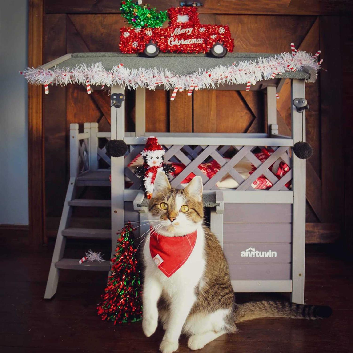 GUTINNEEN Cat House with Door for Feral Cats Rainproof Outside Kitty House 2 S AIR09-BS