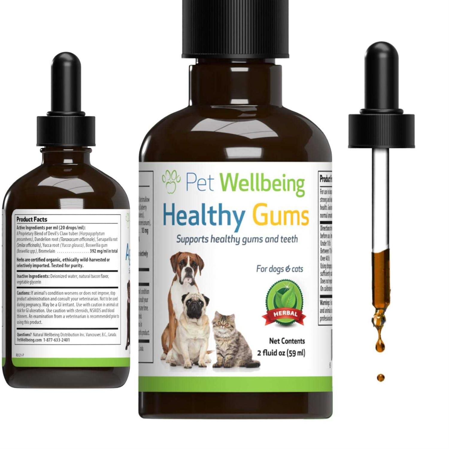 Pet Wellbeing Healthy Gums for Feline Periodontal Health