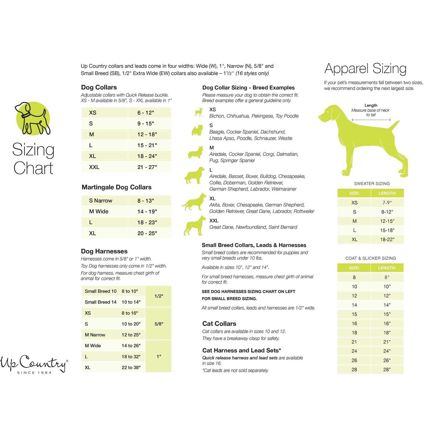 Up Country Daisy Dog Collar