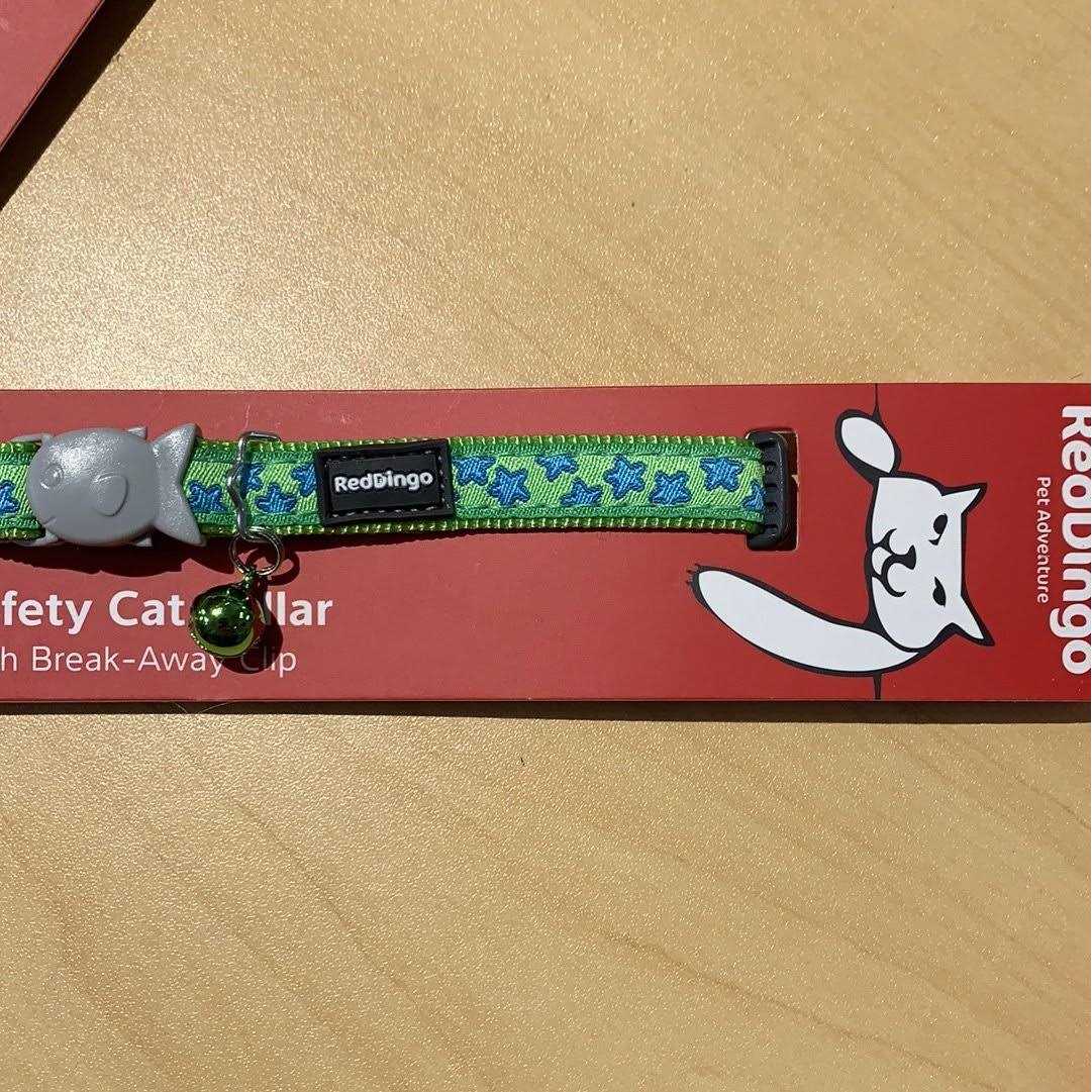 Red Dingo Dog Collar