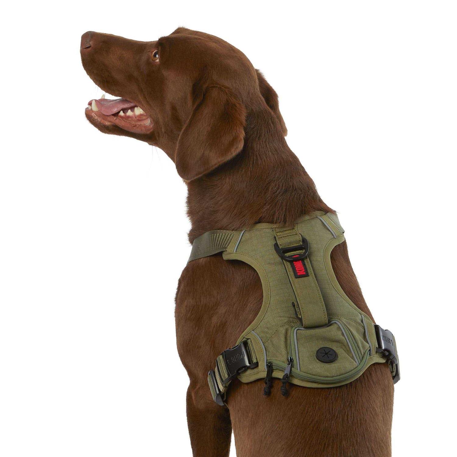 KONG Ultra Durable Waste Bag Harness