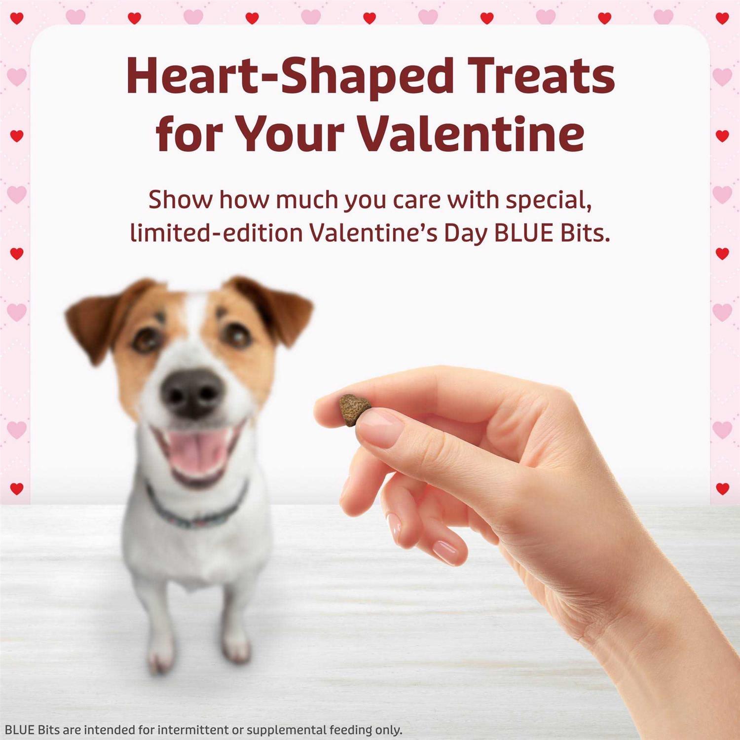 Blue Buffalo Valentine Blue Bits Chicken Recipe Natural SoftMoist Training Dog Treats