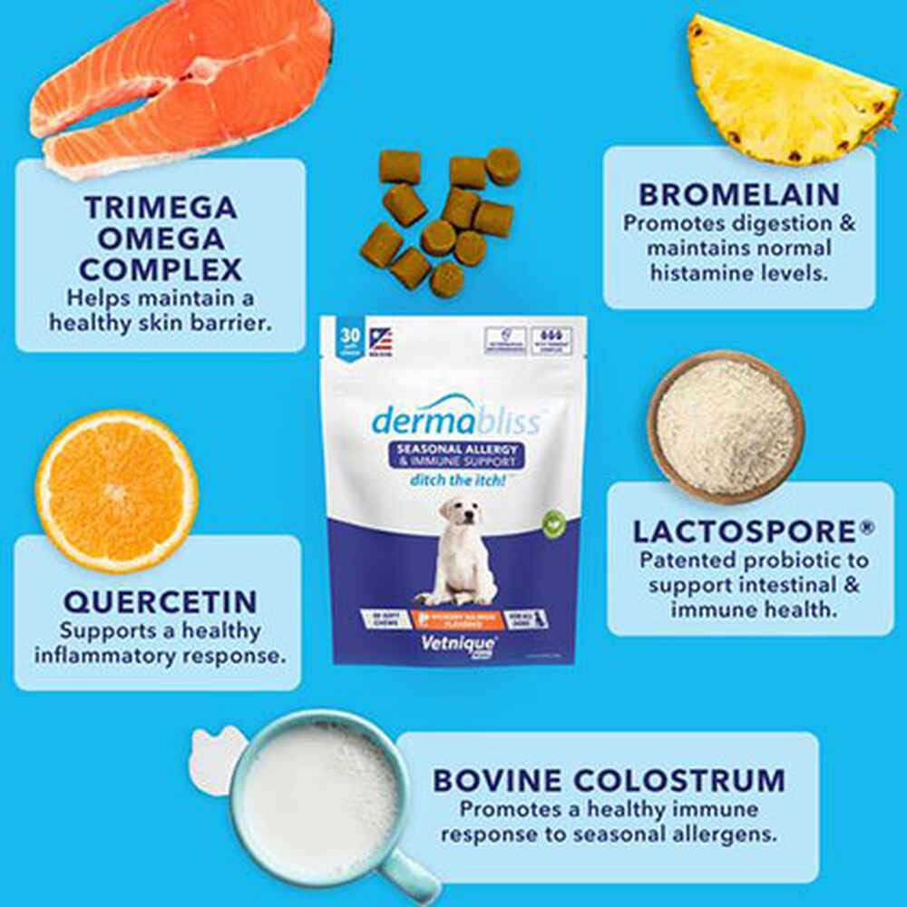 Dermabliss Allergy & Immune Soft Chews for Dogs