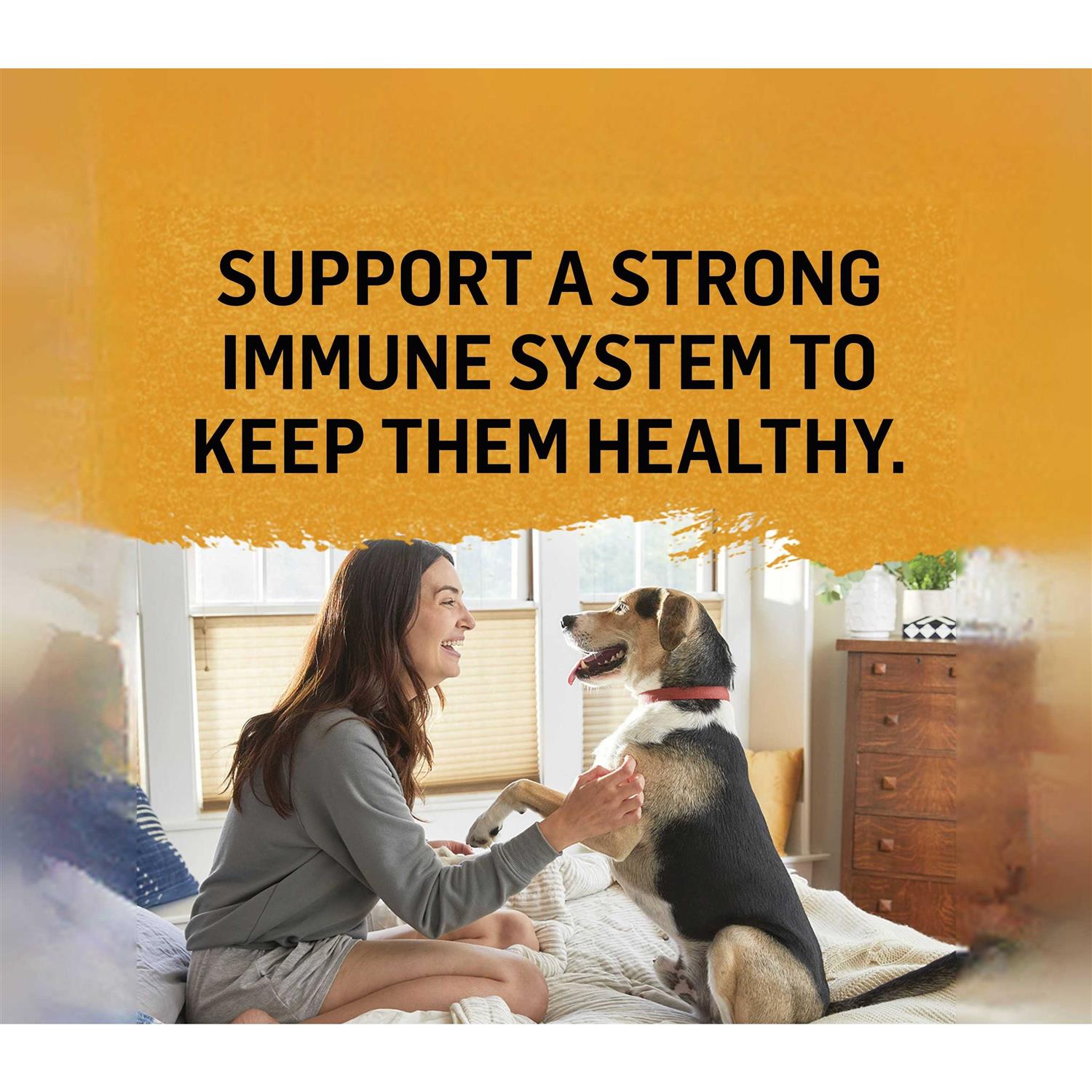 Purina Beyond Wet Cat Food Natural Chicken Bone Broth