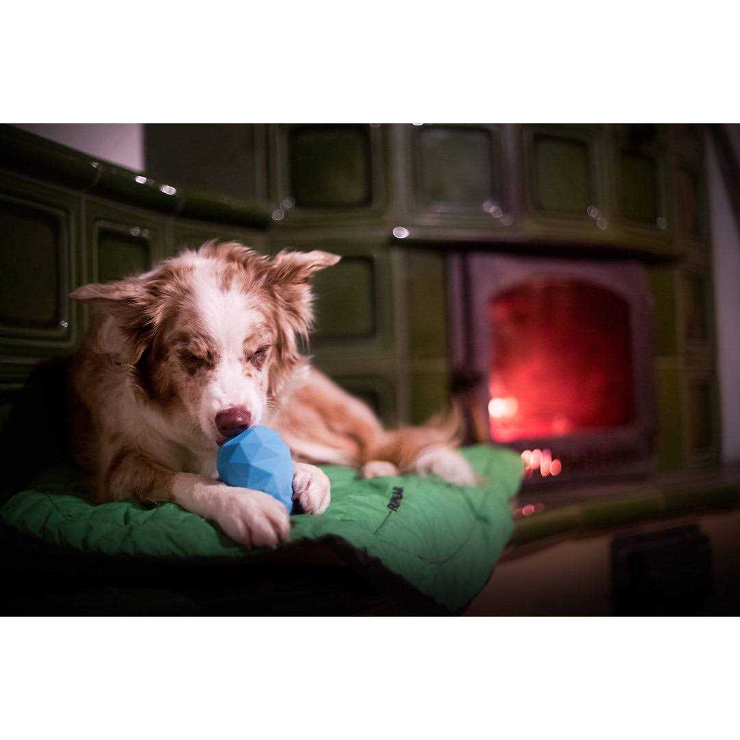 Gnawt-a-Cone Toy Ruffwear