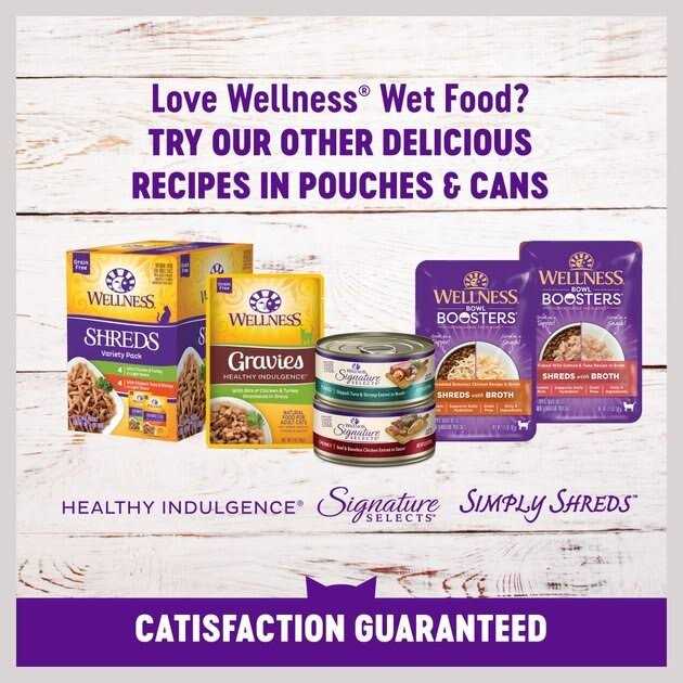 Wellness Healthy Indulgence Natural Grain Free Gravies and Gravy Cat Food Pouch