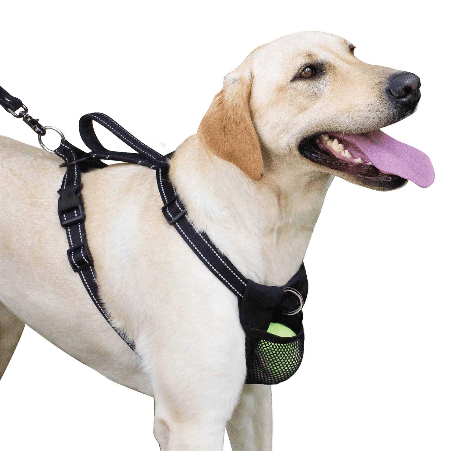 Sporn Ultimate Control Harness