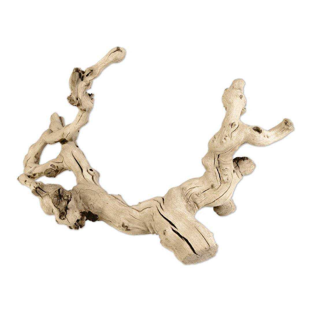 Koyal Wholesale Grapewood Branch