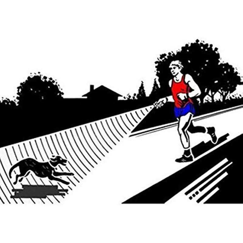 QZC Super Ultrasonic Dog Chaser,Training Dog Banish Dog Machine,Stop Animals Attacks Aggression