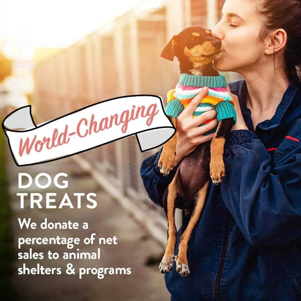 Portland Pet Food Company Bacon Biscuits Grain-Free & Gluten-Free Dog Treats