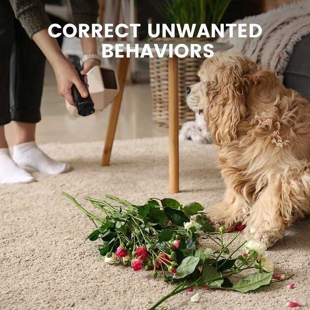 DogCare ED11 Ultrasonic Dog Bark Deterrent