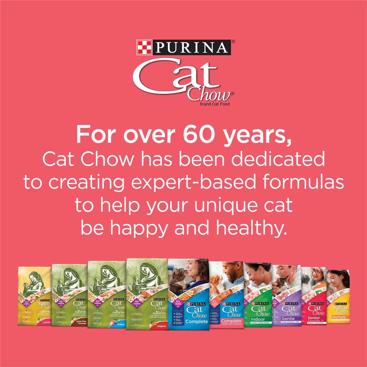 Purina Cat Chow Complete with Salmon High Protein Dry Cat Food