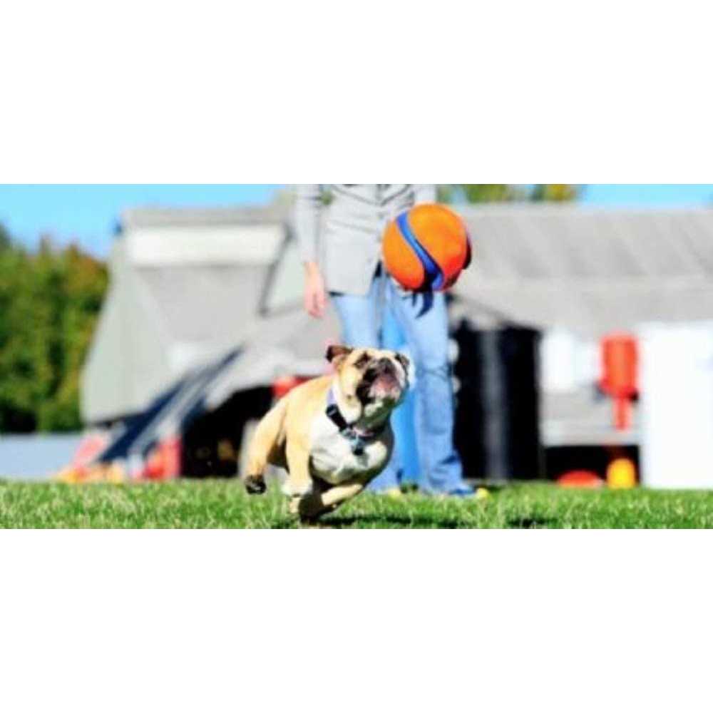 Chuckit! Kick Fetch Ball Dog Toy