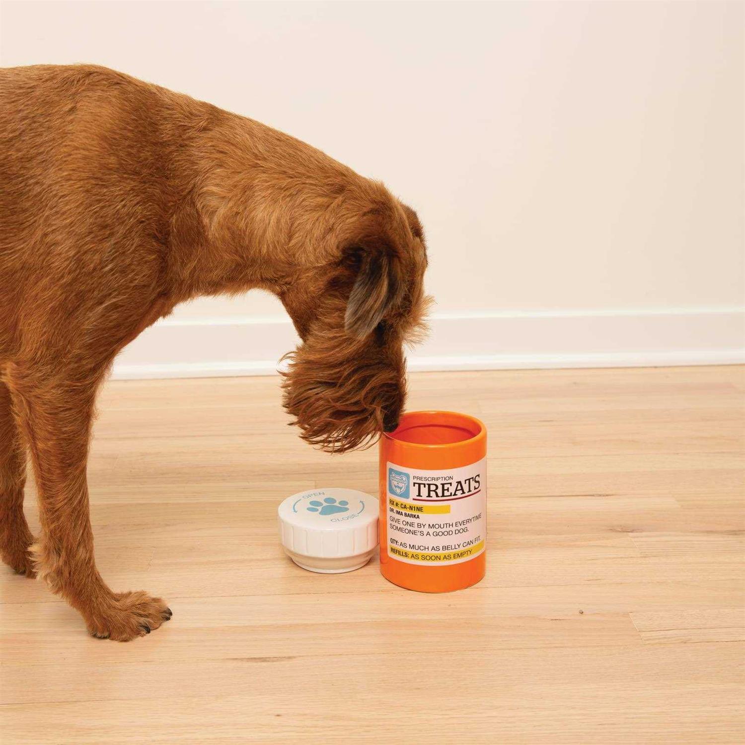 Bigmouth Inc Prescription Treat Jar