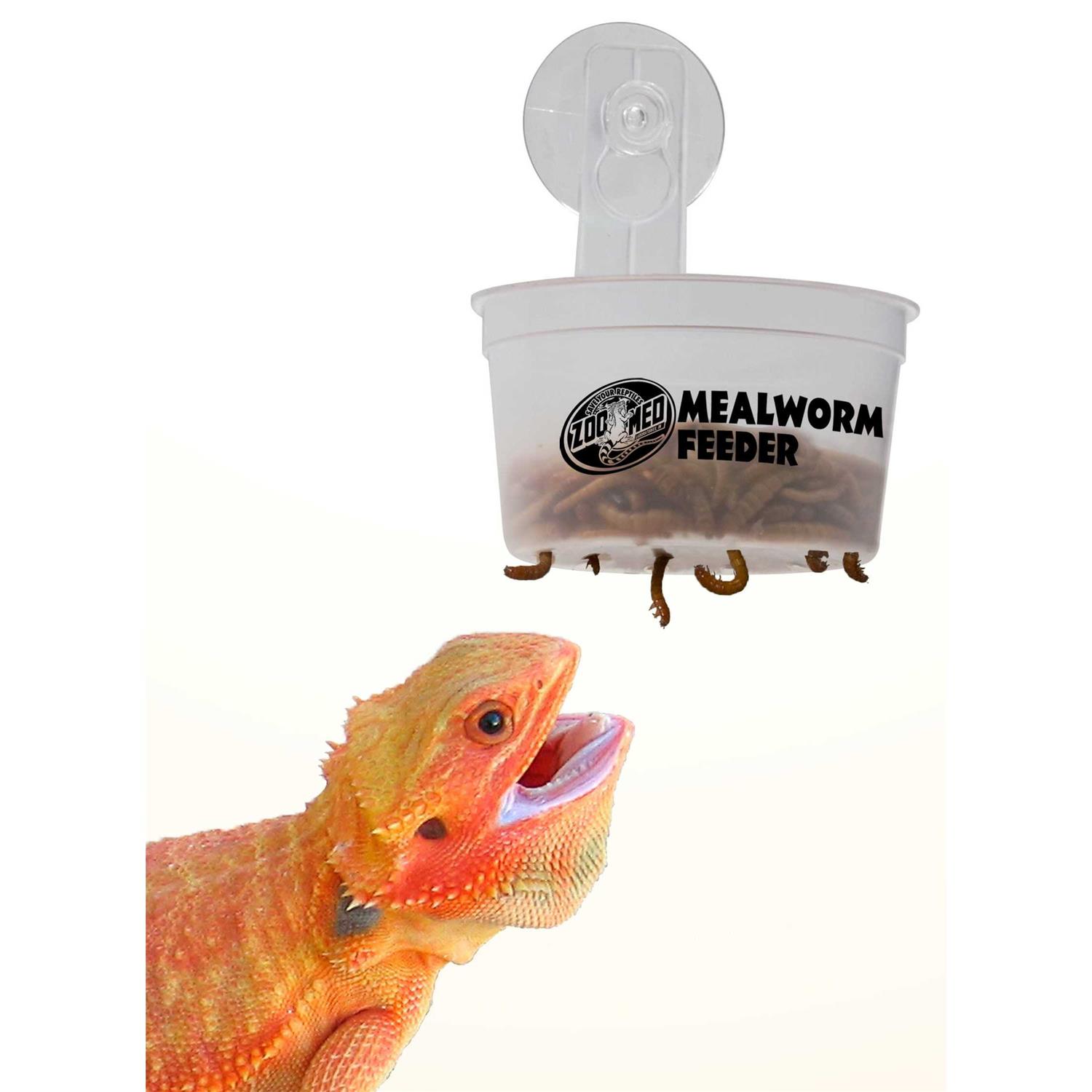 Zoo Med Hanging Mealworm Feeder