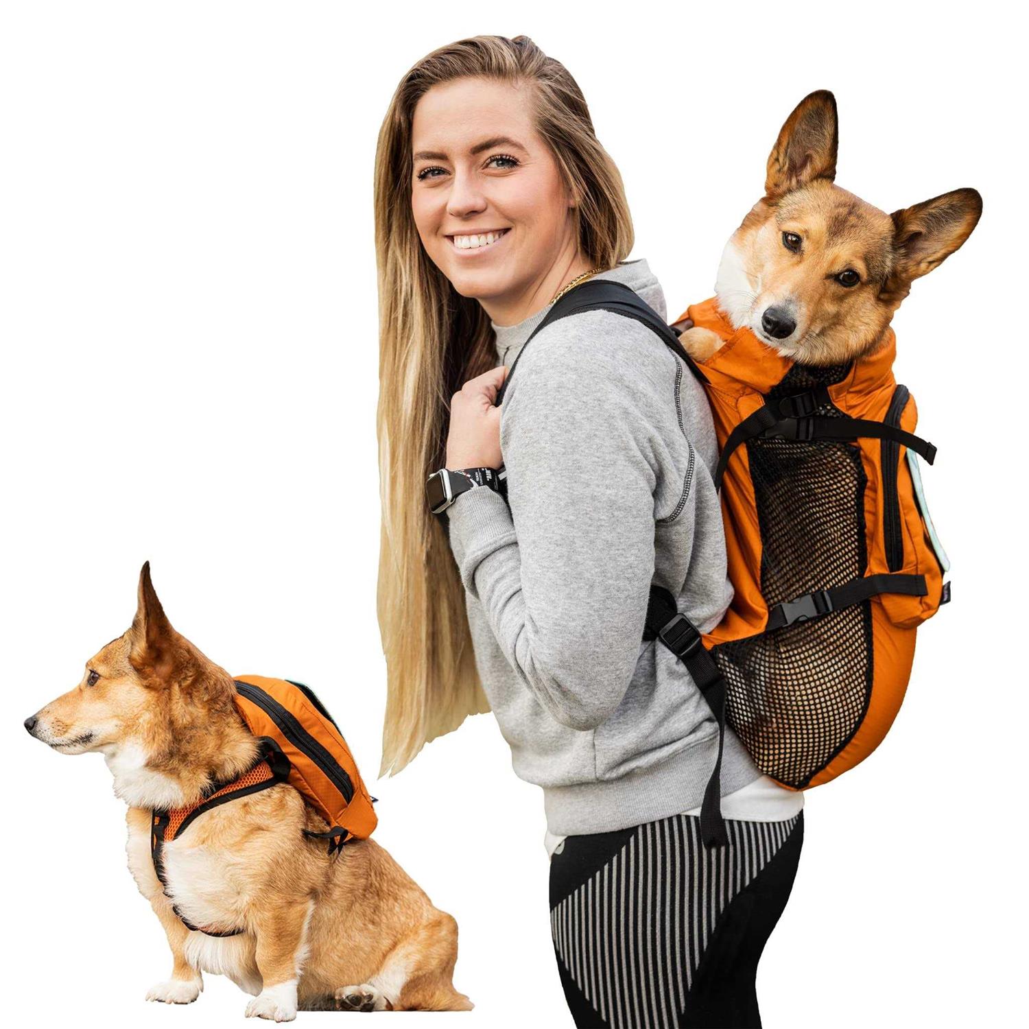 K9 Sport Sack Walk On with Harness & Storage