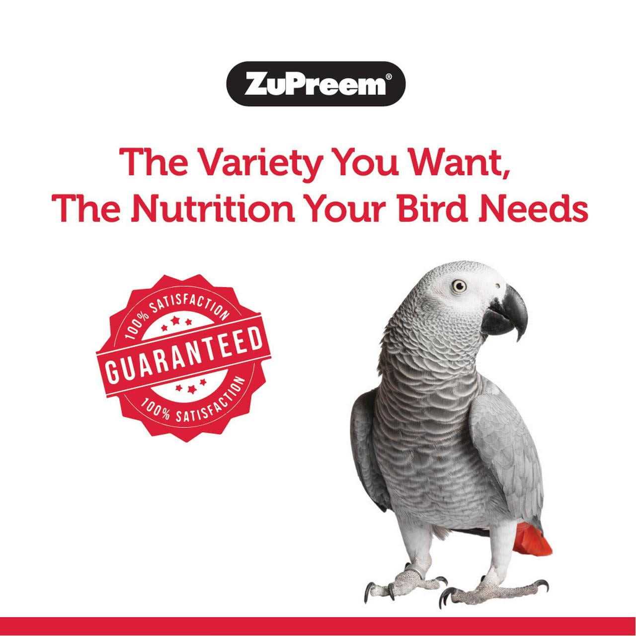 Zupreem FruitBlend Flavor Bird Food