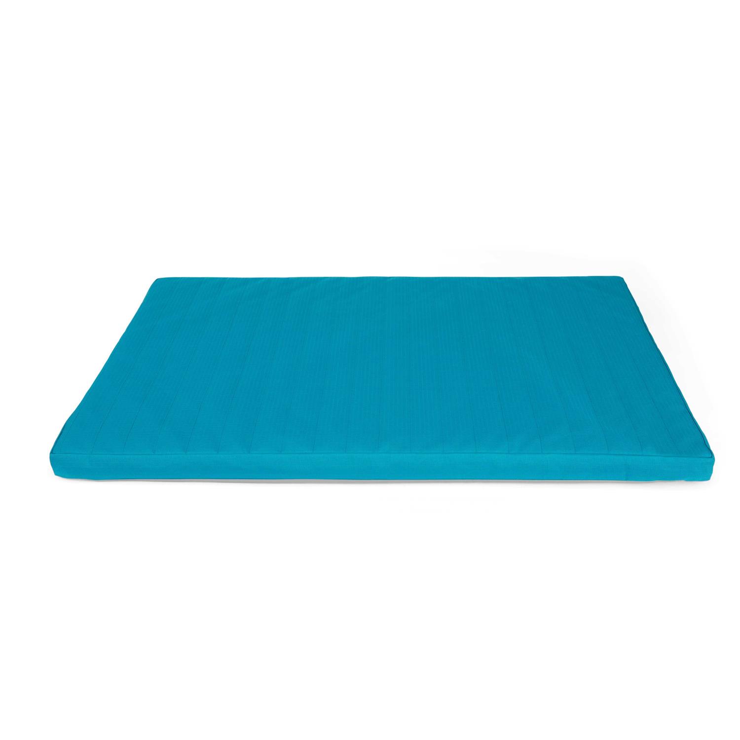 EveryYay Durable 2 Teal Dog Mat