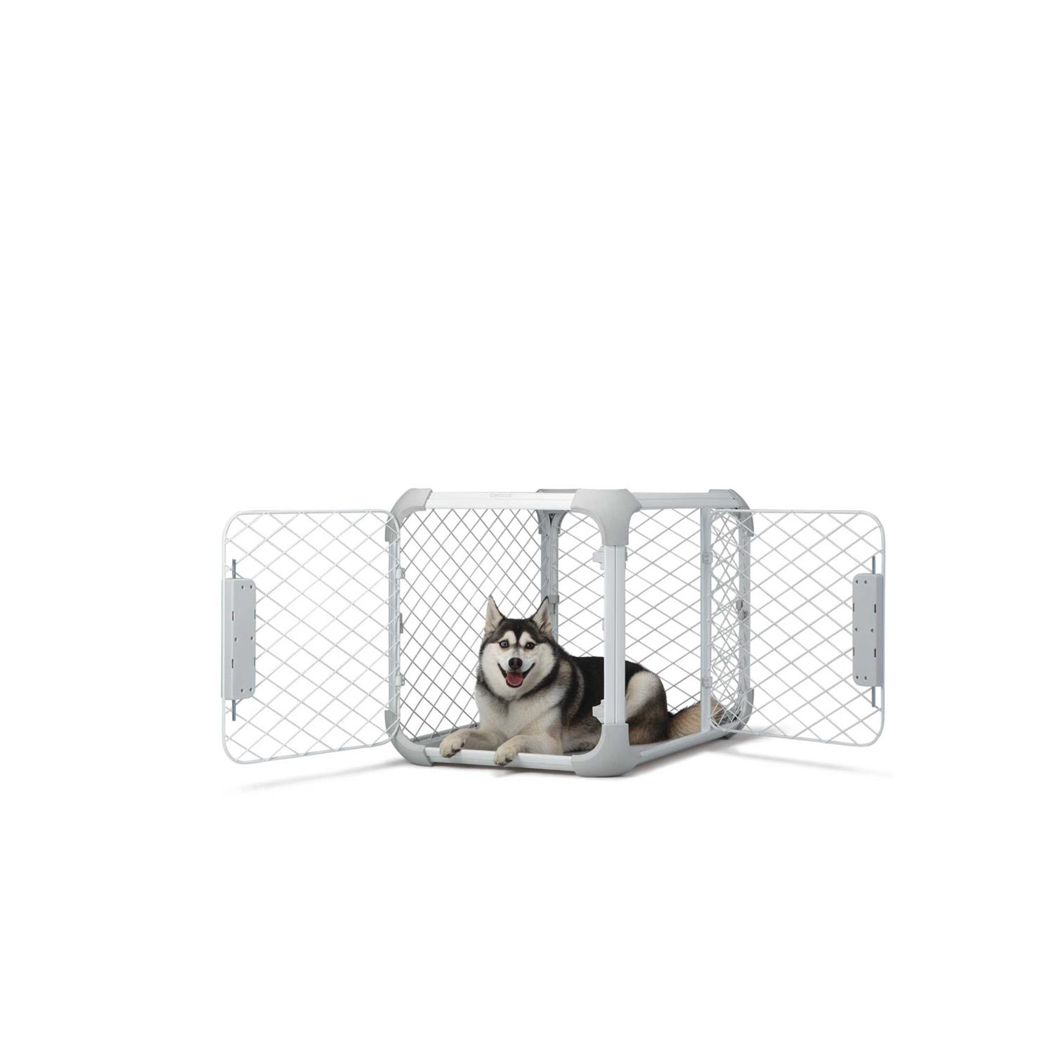 Diggs Evolv Dog Crate