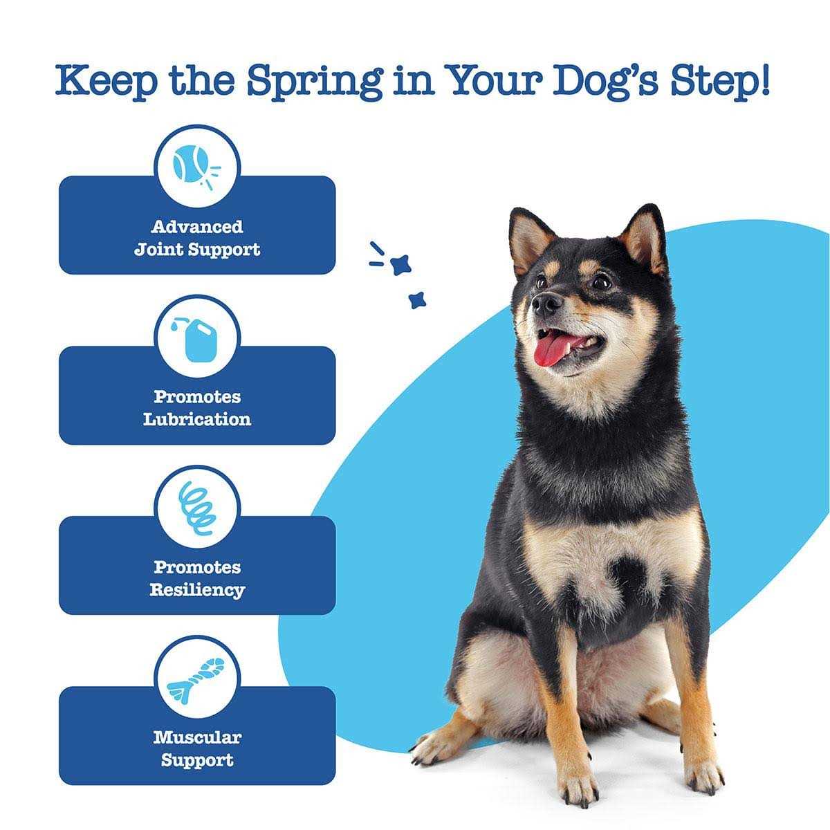 Zesty Paws Advanced Hip Joint Mobility Bites for Senior Dogs