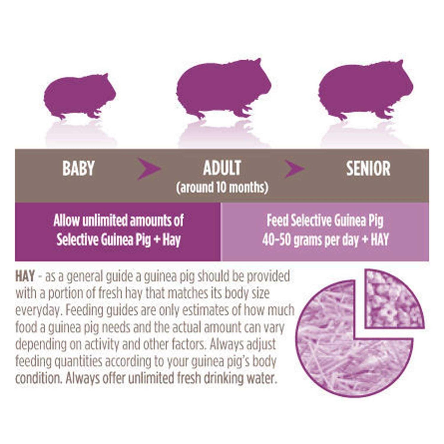 Science Selective Guinea Pig Food