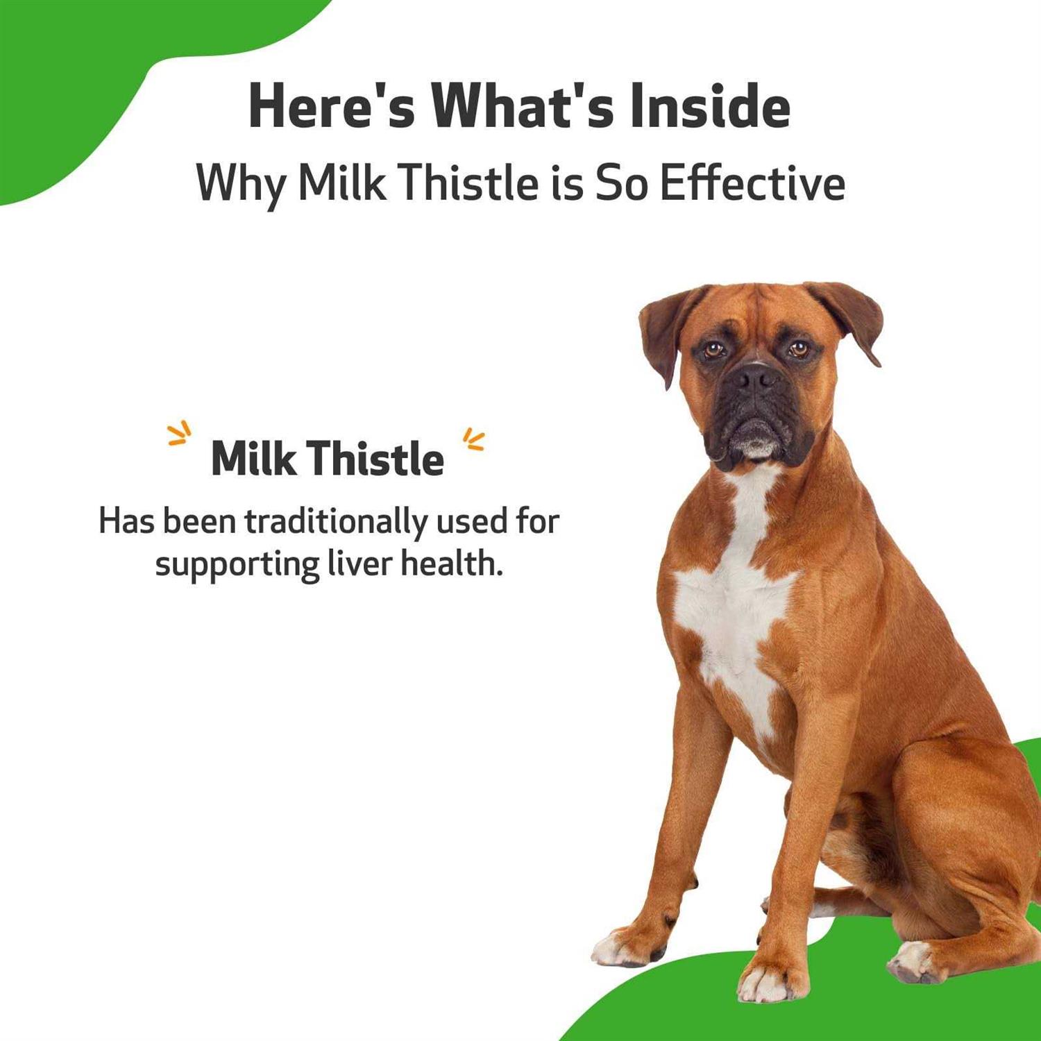 Pet Wellbeing Milk Thistle for Dogs