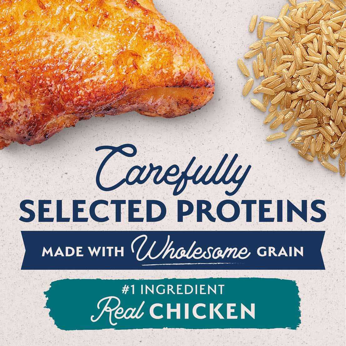 Natural Balance Limited Ingredient Dog Food