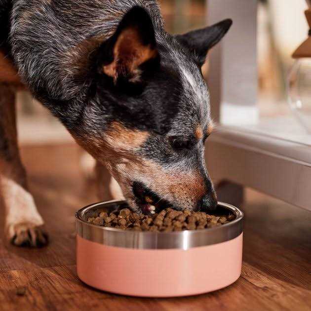 Country Vet Naturals Butcher Shop Blend Dog Food