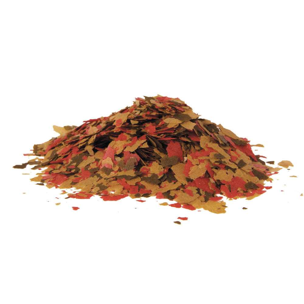Tetra Large TetraMin Tropical Flakes Fish Food