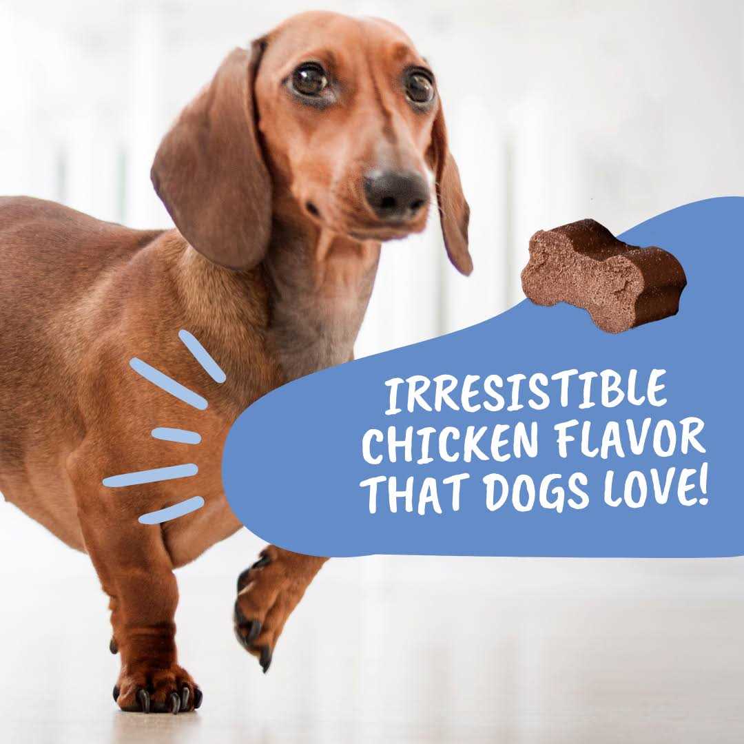 Under the Weather IVDD Dog Supplement, Disc and Spine Relief for Dogs