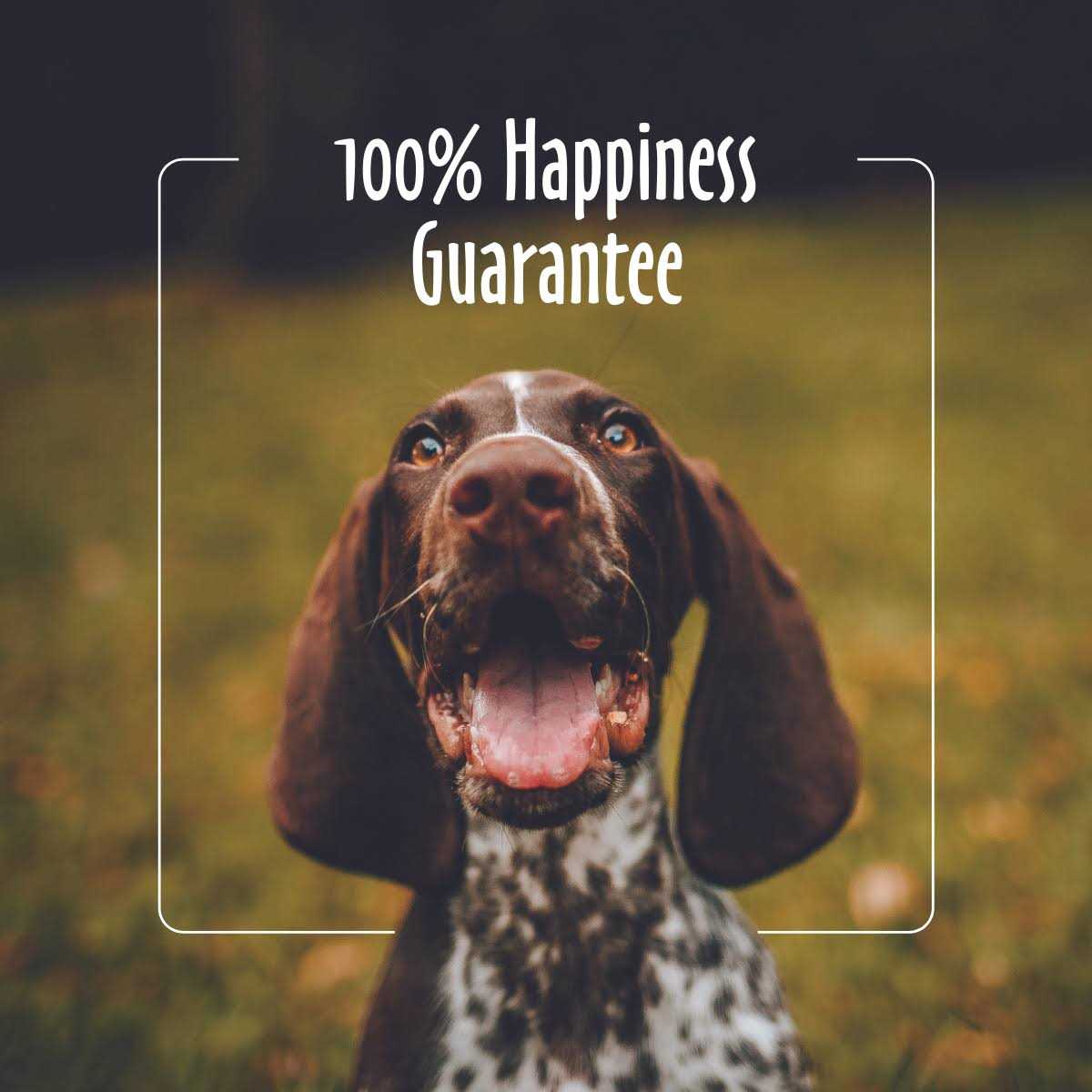 Earthbath Mango Tango 2-in-1 Conditioning Shampoo