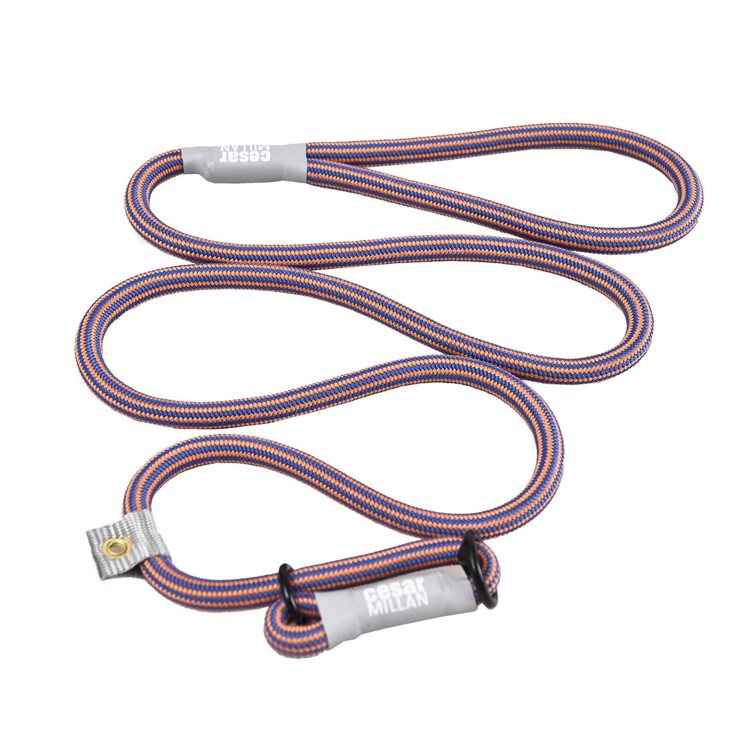 Cesar Millan Slip Lead Leash 2-in-1 Slip Collar Dog Training Lead & Collar