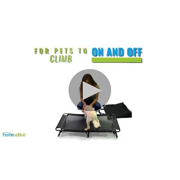 Homevative Folding Elevated Pet Bed No Assembly