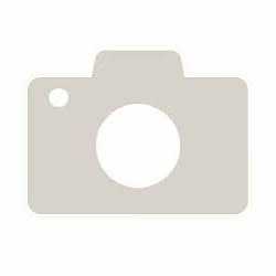 Durvet High Level Vitamin B Complex