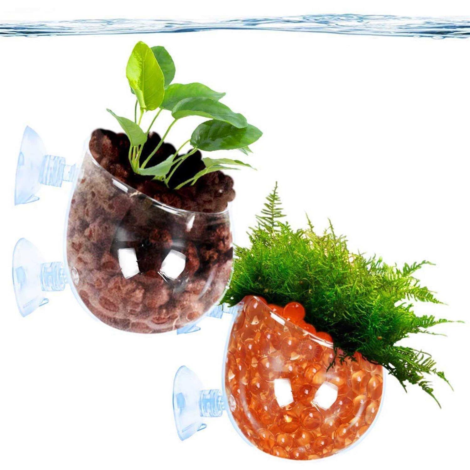SunGrow 2-Pack Aquatic Plant Pot with Suction Cups Crested Gecko Food Holder