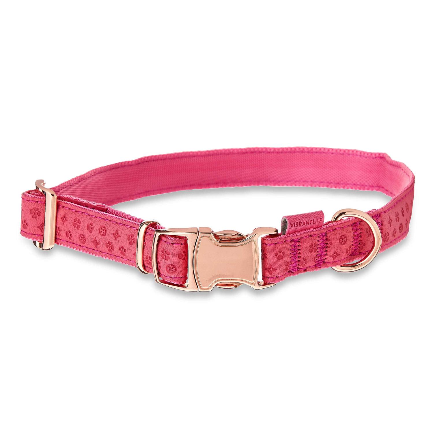 Vibrant Life Embossed Adjustable Dog Collar