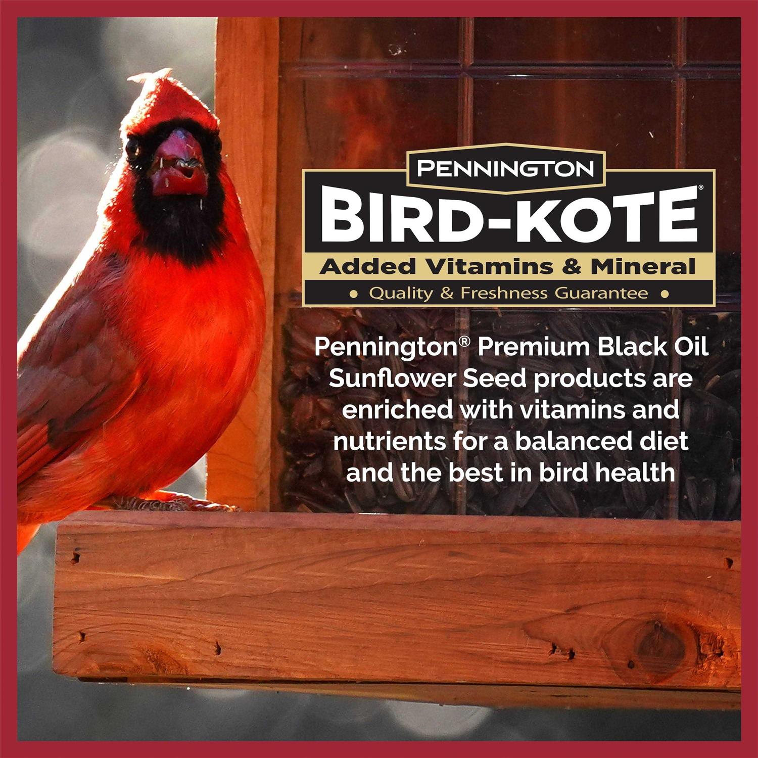 Pennington Select Black Oil Sunflower Seed Wild Bird Feed