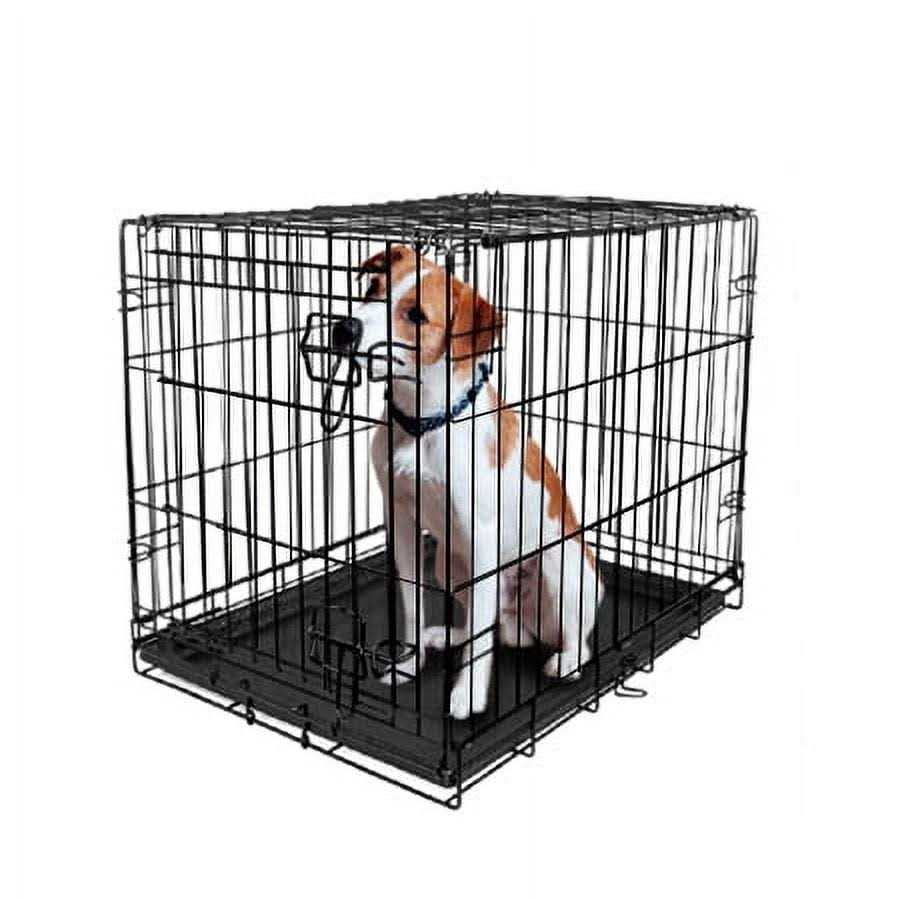 Vibrant Life Single-Door Folding Dog Crate with Divider