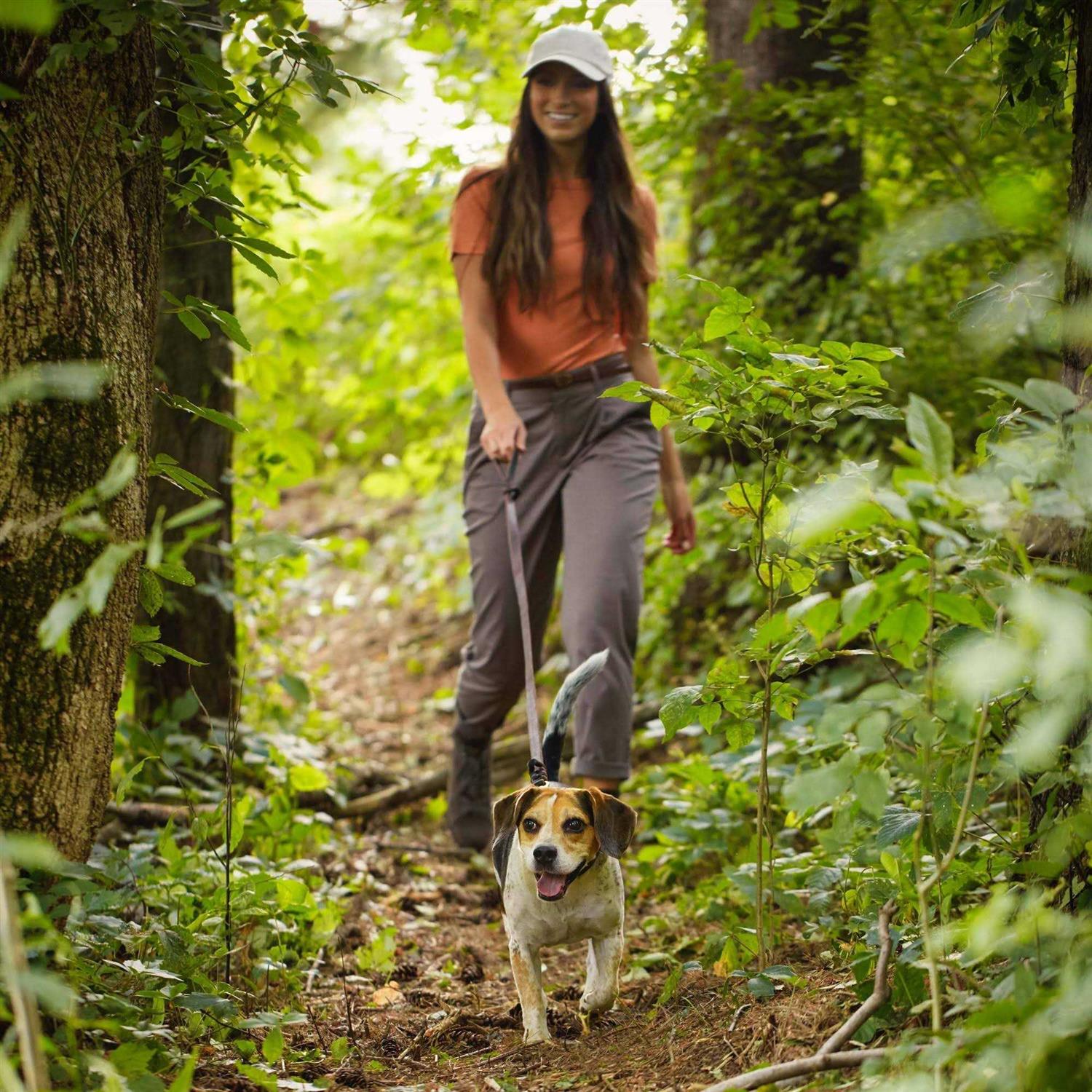 Nature’s Recipe Grain Free Chicken Sweet Potato & Pumpkin Small Breed Dry Dog Food