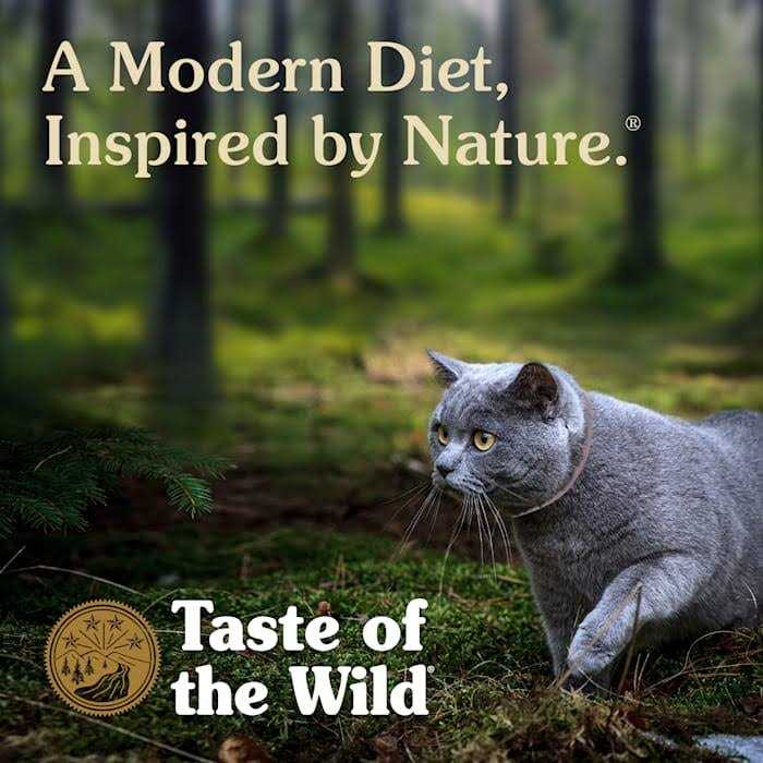 Taste of the Wild Canyon River Cat Food