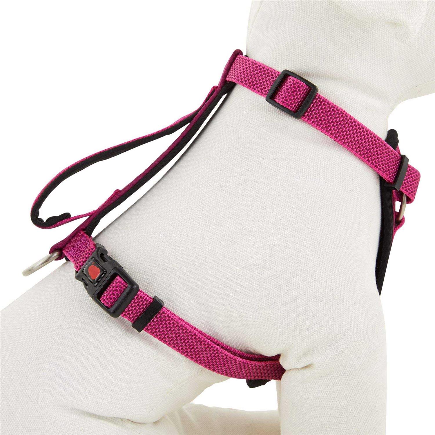 Kong Comfort Padded Chest Plate Dog Harness