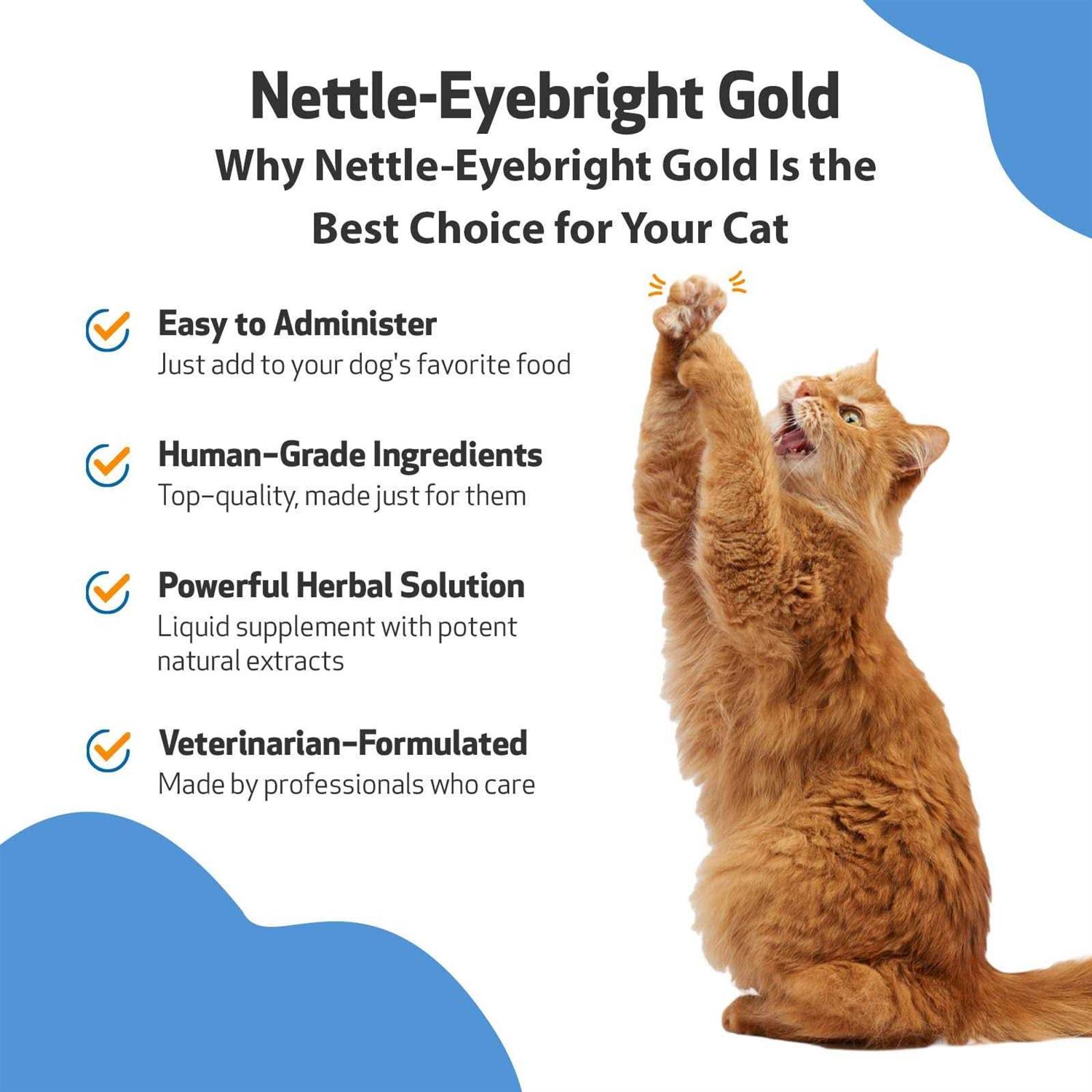 Pet Wellbeing Nettle Eyebright Gold for Dogs