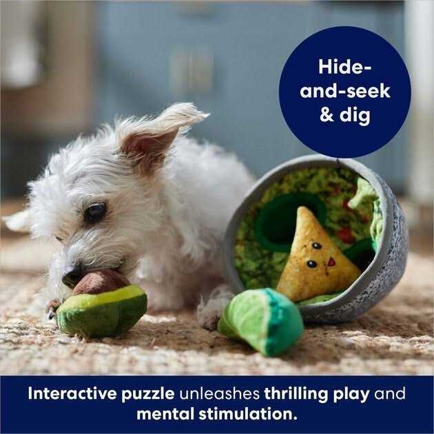 Frisco Guacamole Hide & Seek Puzzle Plush Squeaky Dog Toy
