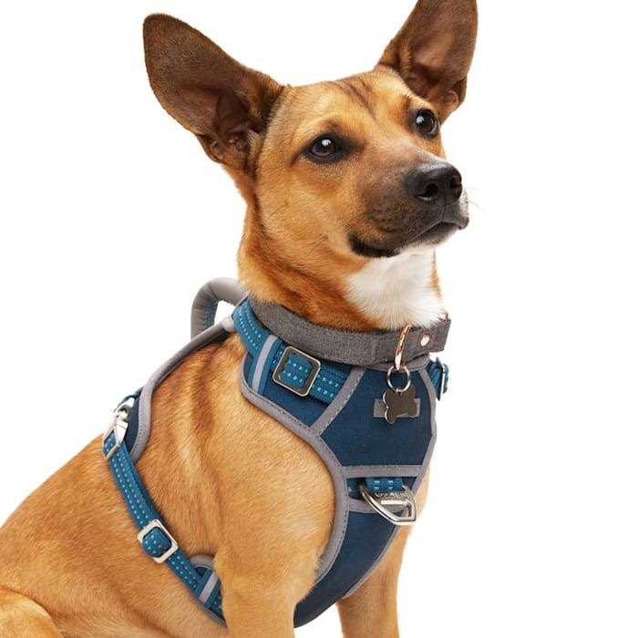 Reddy Navy Dog Harness