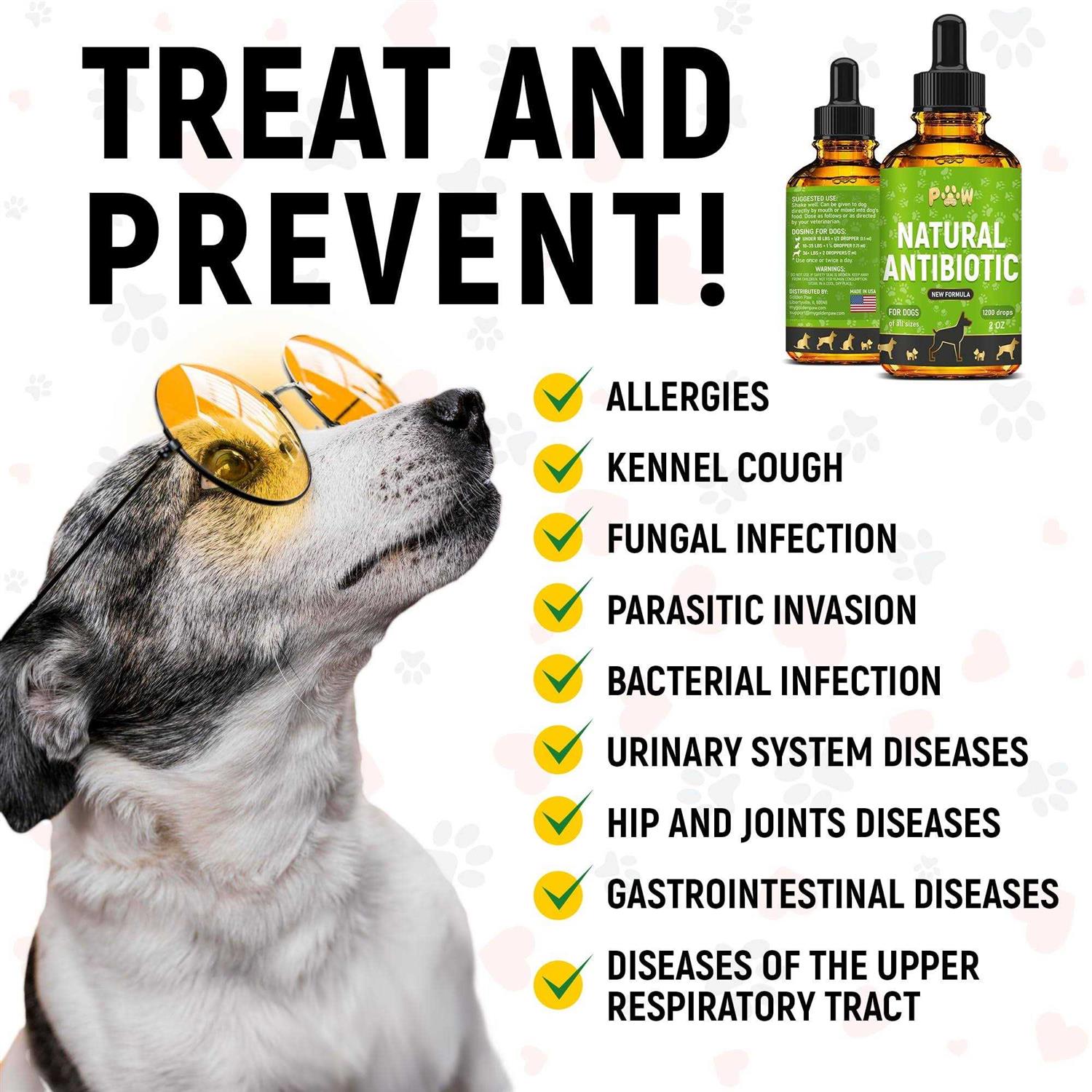 Golden Paw Natural Antibiotics for Dogs Dog Liquid Antibiotics Supports Dog Allergy Relief