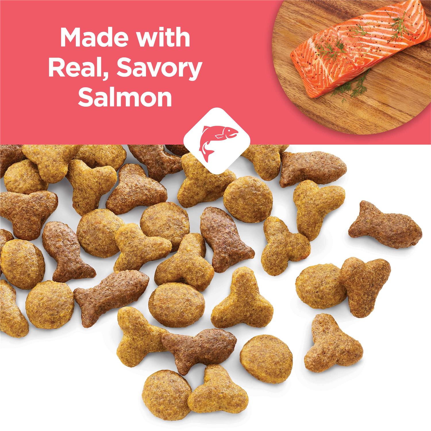 Purina Cat Chow Complete with Salmon High Protein Dry Cat Food