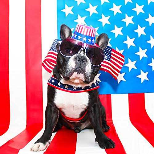 ComfortFlex Limited Slip Collar