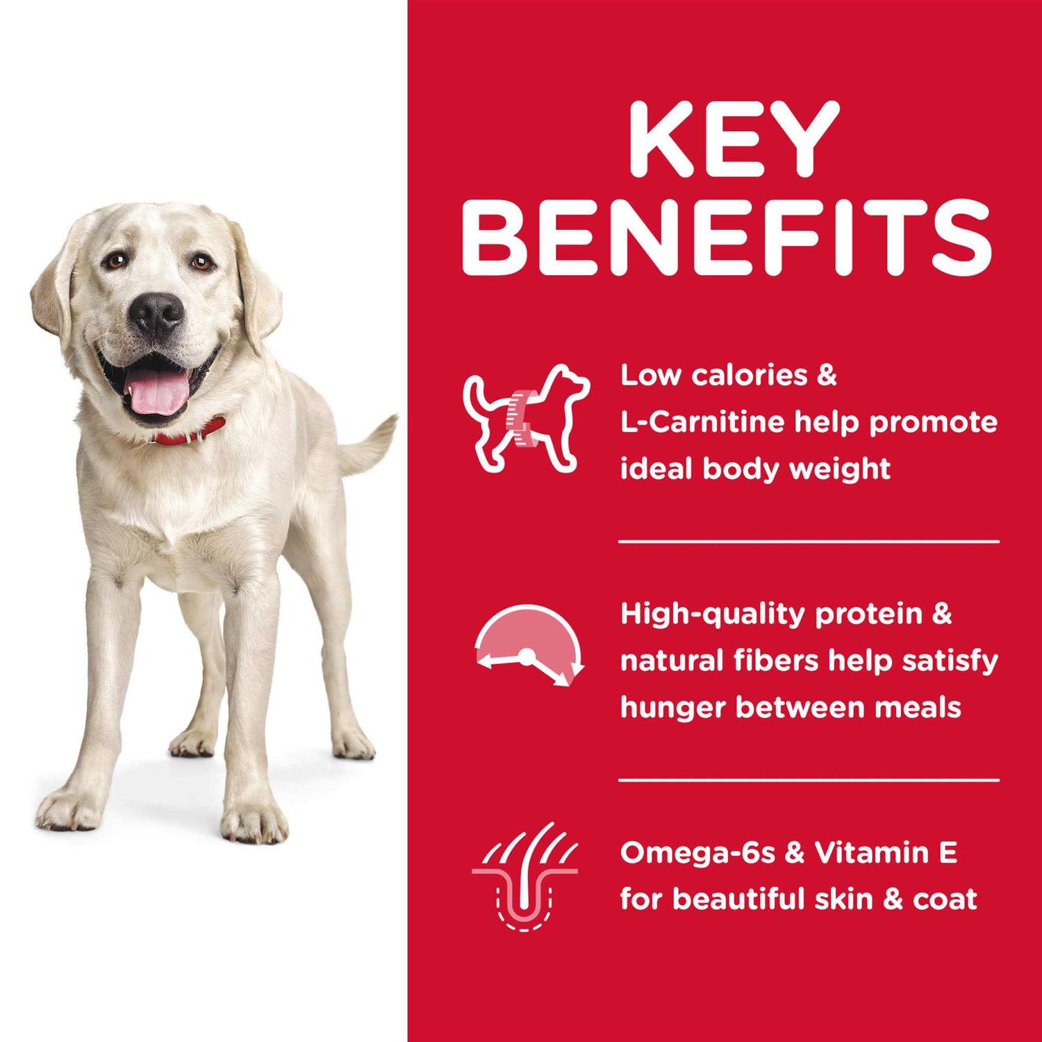 Hill’s Science Diet Adult Large Breed Light Chicken Meal & Barley Dry Dog Food