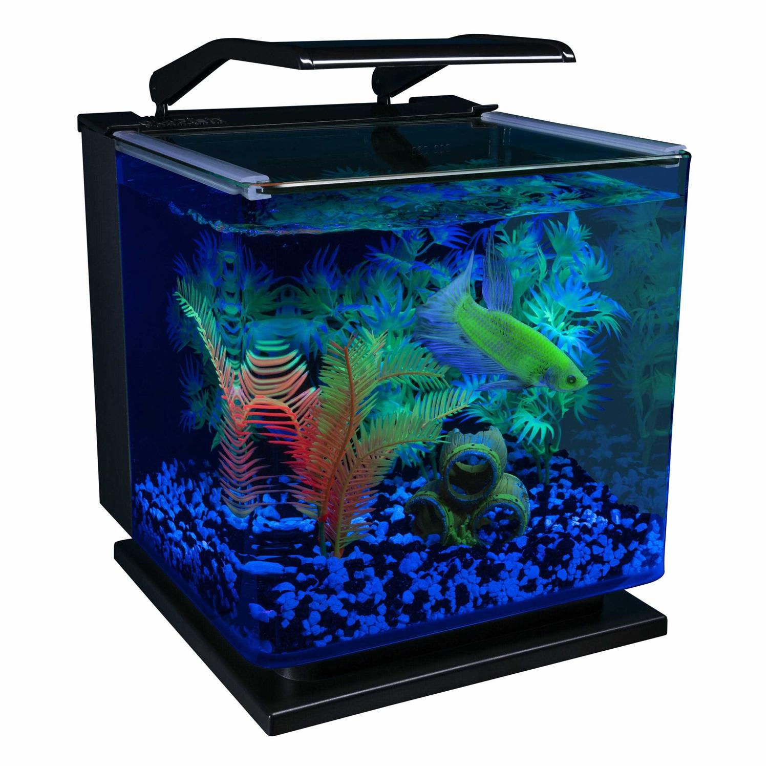 Glofish Betta Aquarium Kit 3 Gallons, Includes LED Lighting and Filter