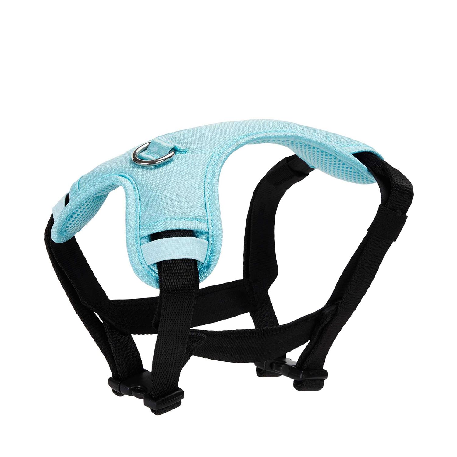 EveryYay Teal Crash Test Dog Harness